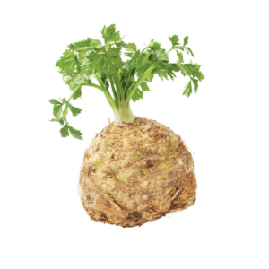 Mâche barquette 125g