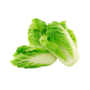 Salade Romaine sachet de 2