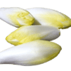 Endive France