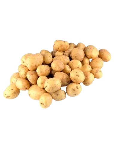 Pomme de terre grenaille France