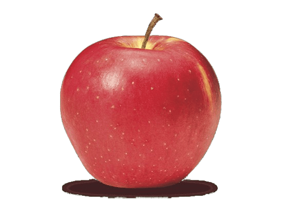 Pomme Evelina France