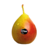 Poire Fred
