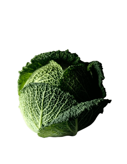 Chou Vert Frisé