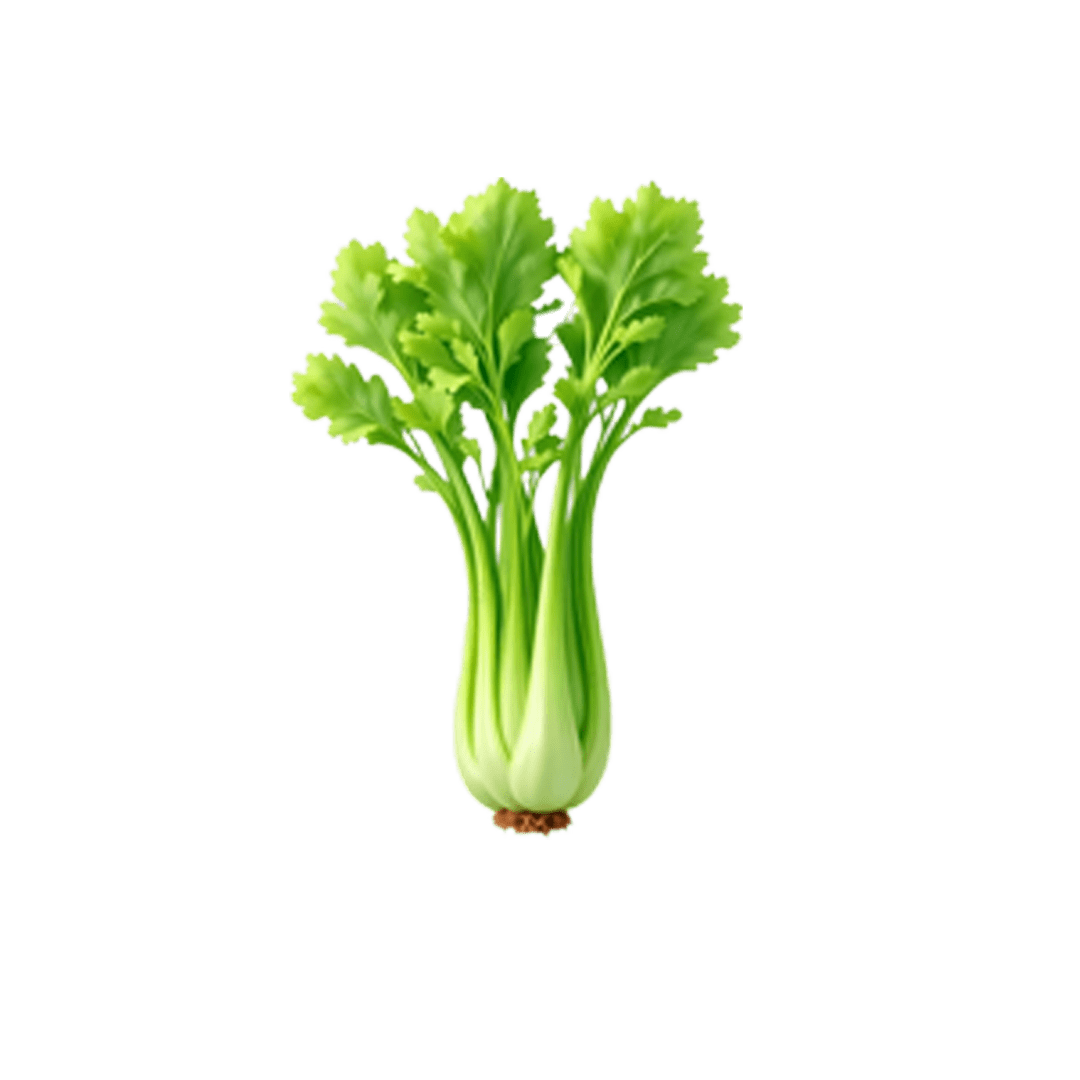 Céleri Branche