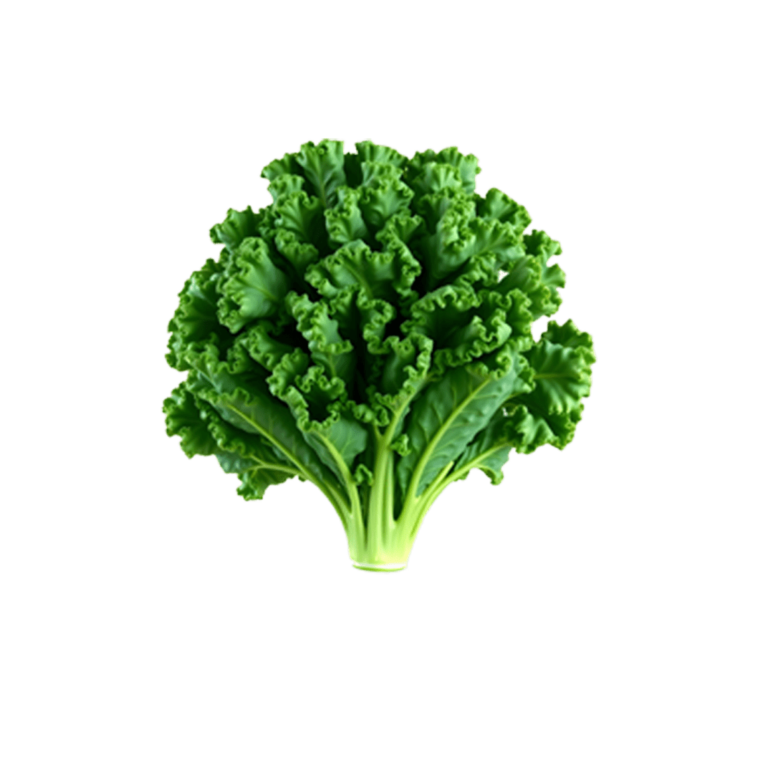 Chou Vert Frisé