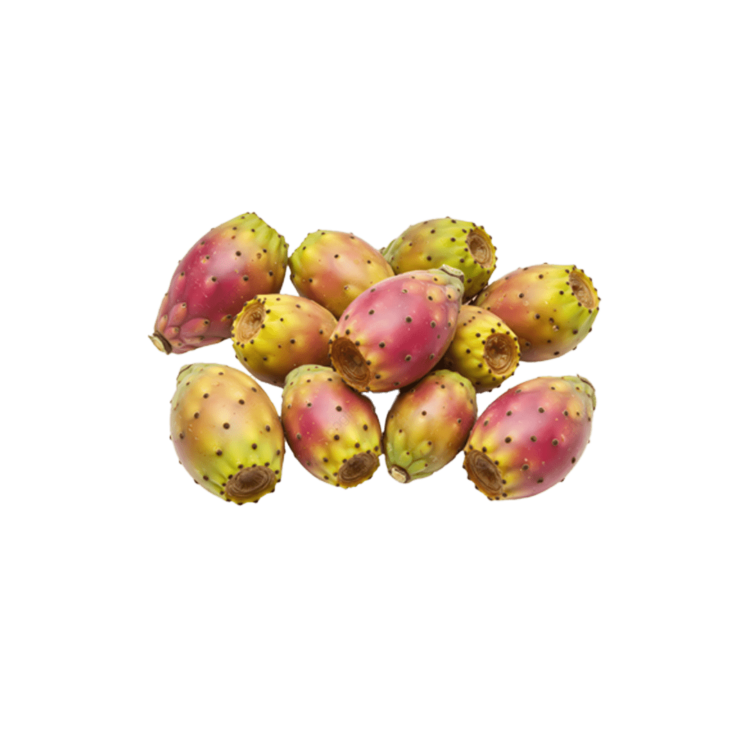 Figues de Barbarie