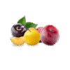 Prunes Rouges & Jaunes