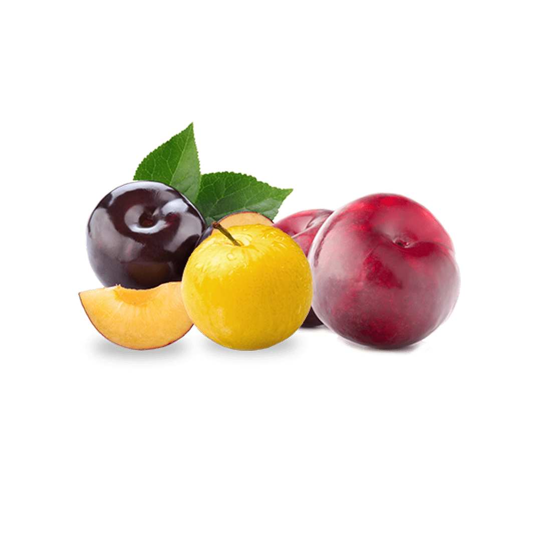 Prunes Rouges & Jaunes