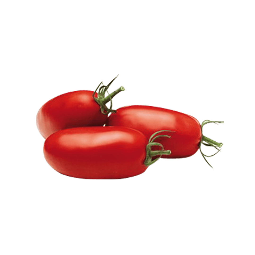 Tomates Allongées