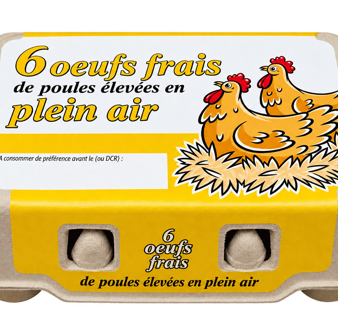 6 œufs frais