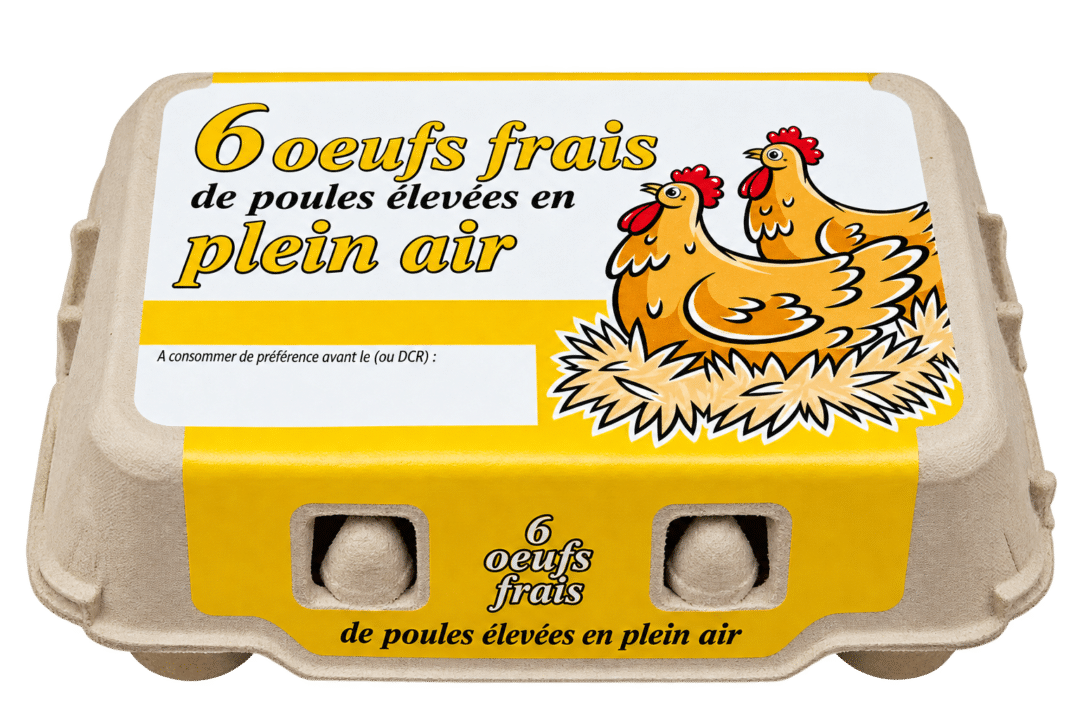 6 œufs frais